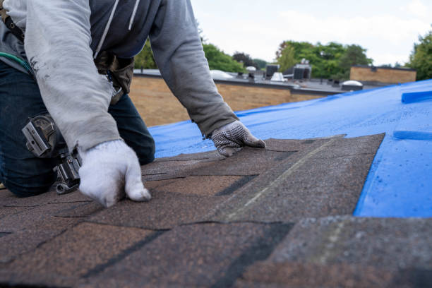 Professional Roofing Contractor in Three Rivers, MI